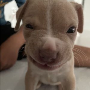 Meet your Posher, Karma